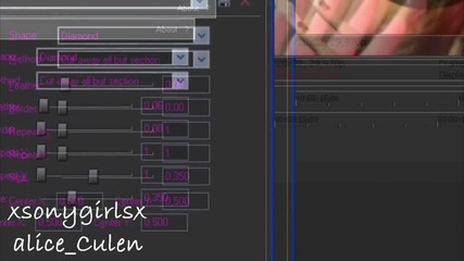 Sony vegas Effect #2