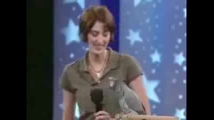 Невероятно!папагал Имитира Всичко !!!