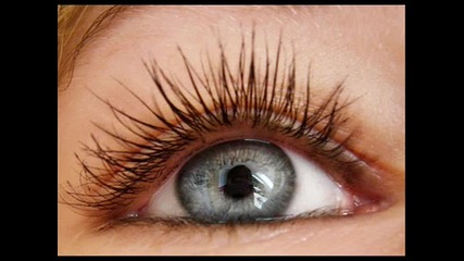 Lash Science