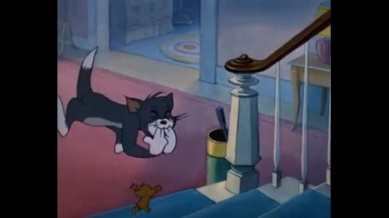 Tom Jerry 24