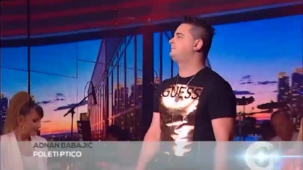 Adnan Babajic - Poleti ptico