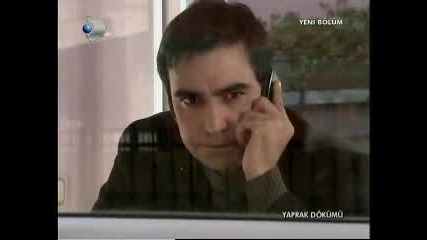 Yaprak D 