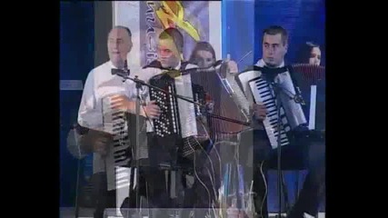 Nihad Alibegovic - Zelena