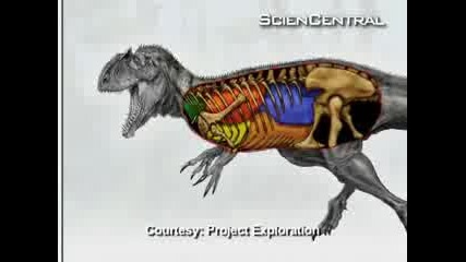 Удивително - Откриха динозавър с 