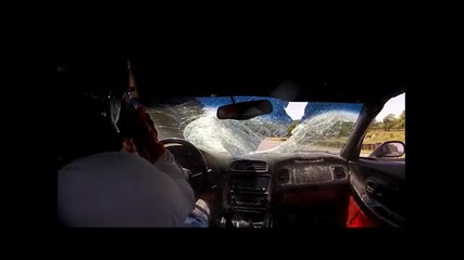 Някой удари елена..