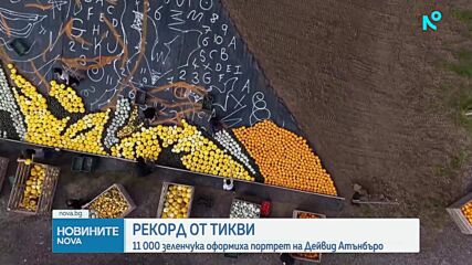 Британска ферма подобри световен рекорд с портрет на Дейвид Атънбъро