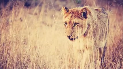 Sam Randle - Inhale (original Mix)