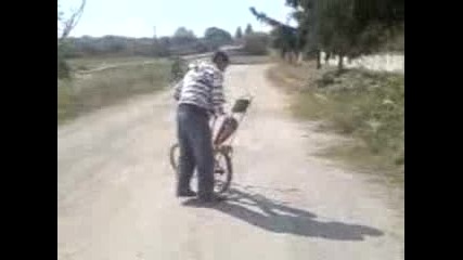 nai golemia idiot