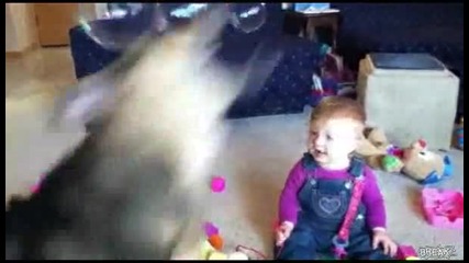 Бебе се смее от куче което напада балони