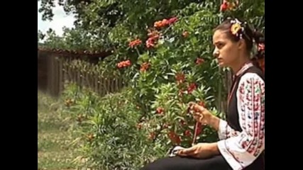 Анушка Михайлова - Седи мома у градина