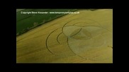Crop Circle Video - Stock footage of Crop Circles2
