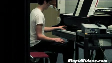 Cat Plays Tambourine and other Videos 