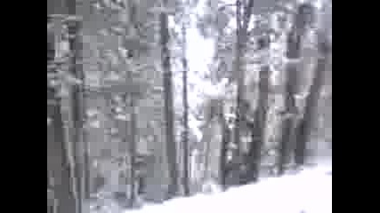 Zima