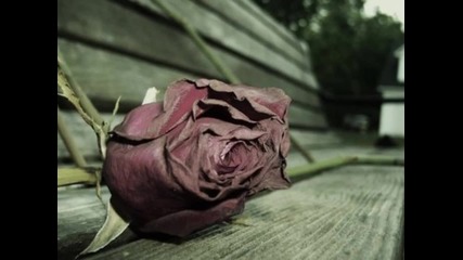 Wintersgrey- No Long Goodbye - 2013