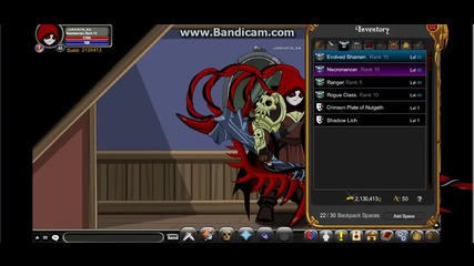 aqw-my character