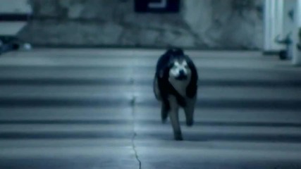 Stratovarius - Hunting High and Low [hd 720p]
