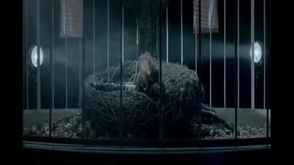 Miley Cyrus - Can't Be Tamed