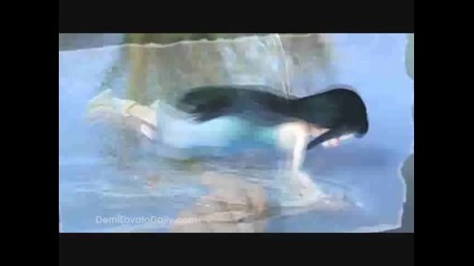 Demi Lovato- Gift of Friend