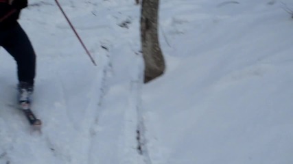 ruyno - skiorite