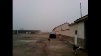 Bmw e46 328i drift