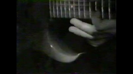 Winger - Miles Away 
