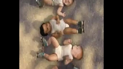Evian Roller Babies