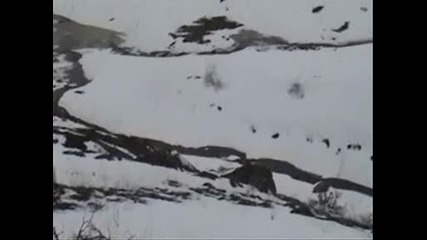 Просеник.wmv