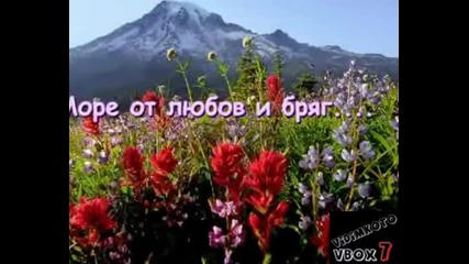 Честит 8 - Ми Март На Всички Дами !
