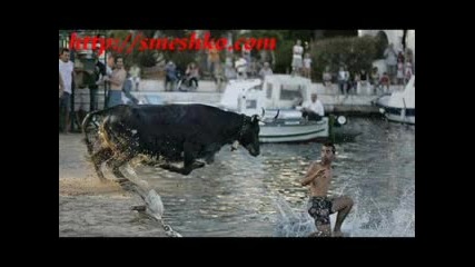 Смях