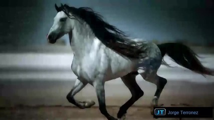 Artic Moon & Paul Webster- valhalla-adam Ellis Remix [hd]