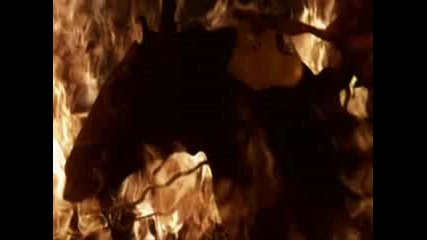 Disturbed - Indestructible 