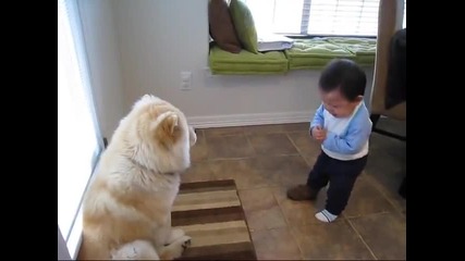 Бебче води интересен разговор с куче хаха