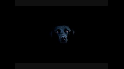 Dark Soul Project - Amon (deep Mix) 