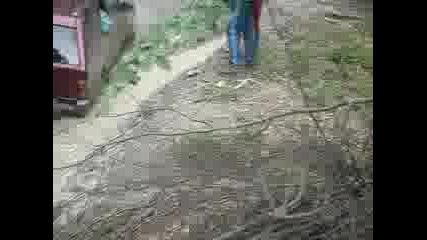 Off Road Goce