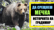 Очи в очи с ДИВИТЕ ЖИВОТНИ: Историята на фотографа Градимир Йовчев