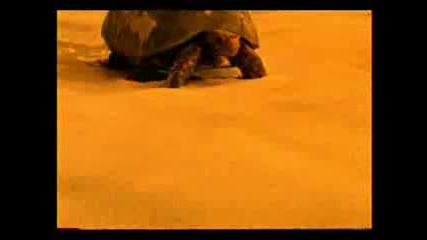 Vanessa Da Mata - Onde Ir