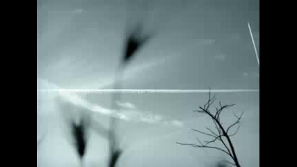 B - Tribe - You wont see me cry