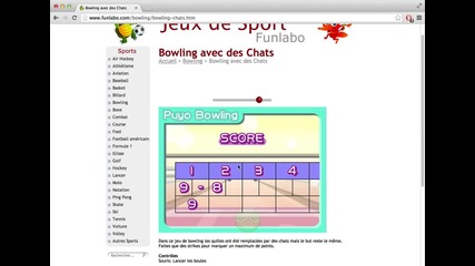 Jeu de Bowling avec des Chats