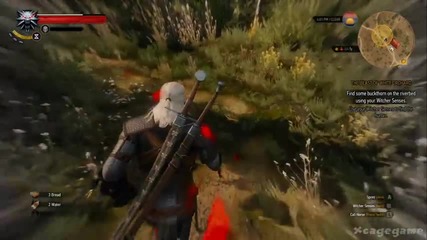 The Witcher 3 Wild Hunt Part 4