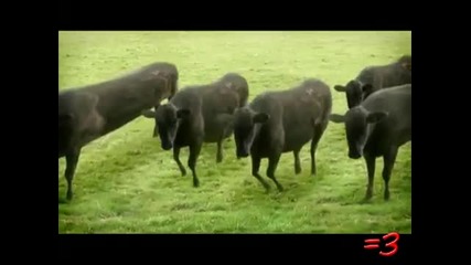 =3 by Ray William Johnson Ep 119: Batman!!!