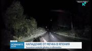 Мечка в Япония атакува движещ се автомобил
