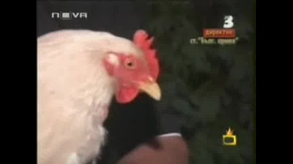 господари на ефира