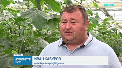 От градините до магазините: С колко поскъпват зеленчуците по пътя им до щанда?