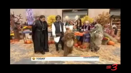Drunk Ewoks!!