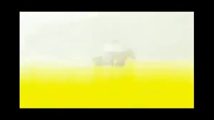 Flor Salvaje Avance Capitulo 121