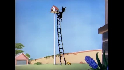 Tom & Jerry - The Flying Cat 2 