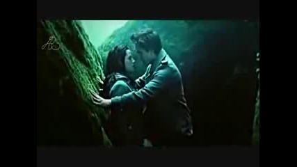 Twilight - So The Lion Fell In Love With The Lamb Bg Subs