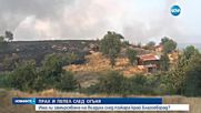 Прах и пепел след пожара край Благоевград