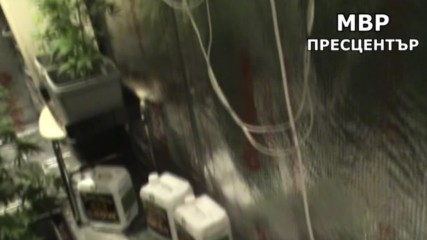 Превърнаха панелка в най-модерната наркооранжерия в Бургас