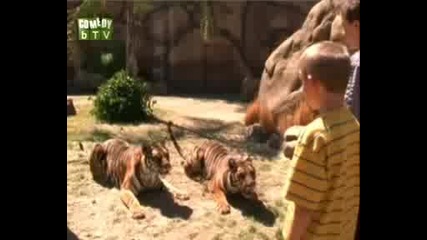 Malcolm In The Middle s04e01 
